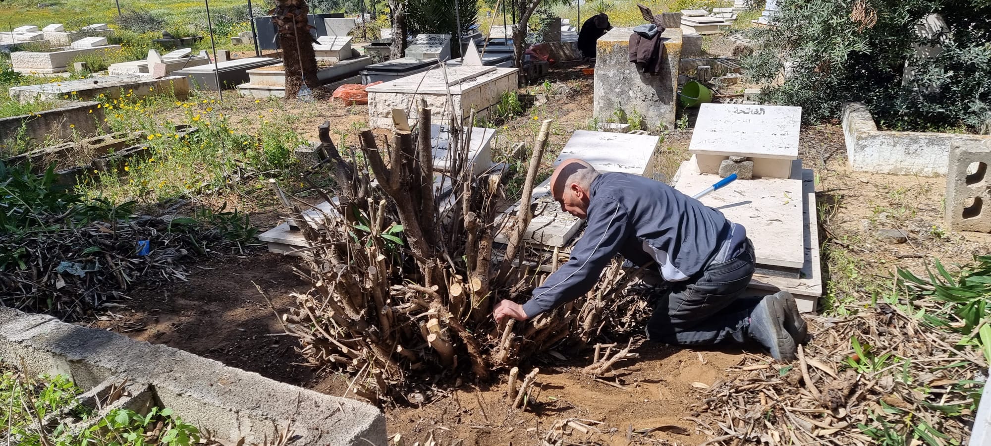 WhatsApp Image 2023-03-18 at 11.16.17 AM (3).jpeg